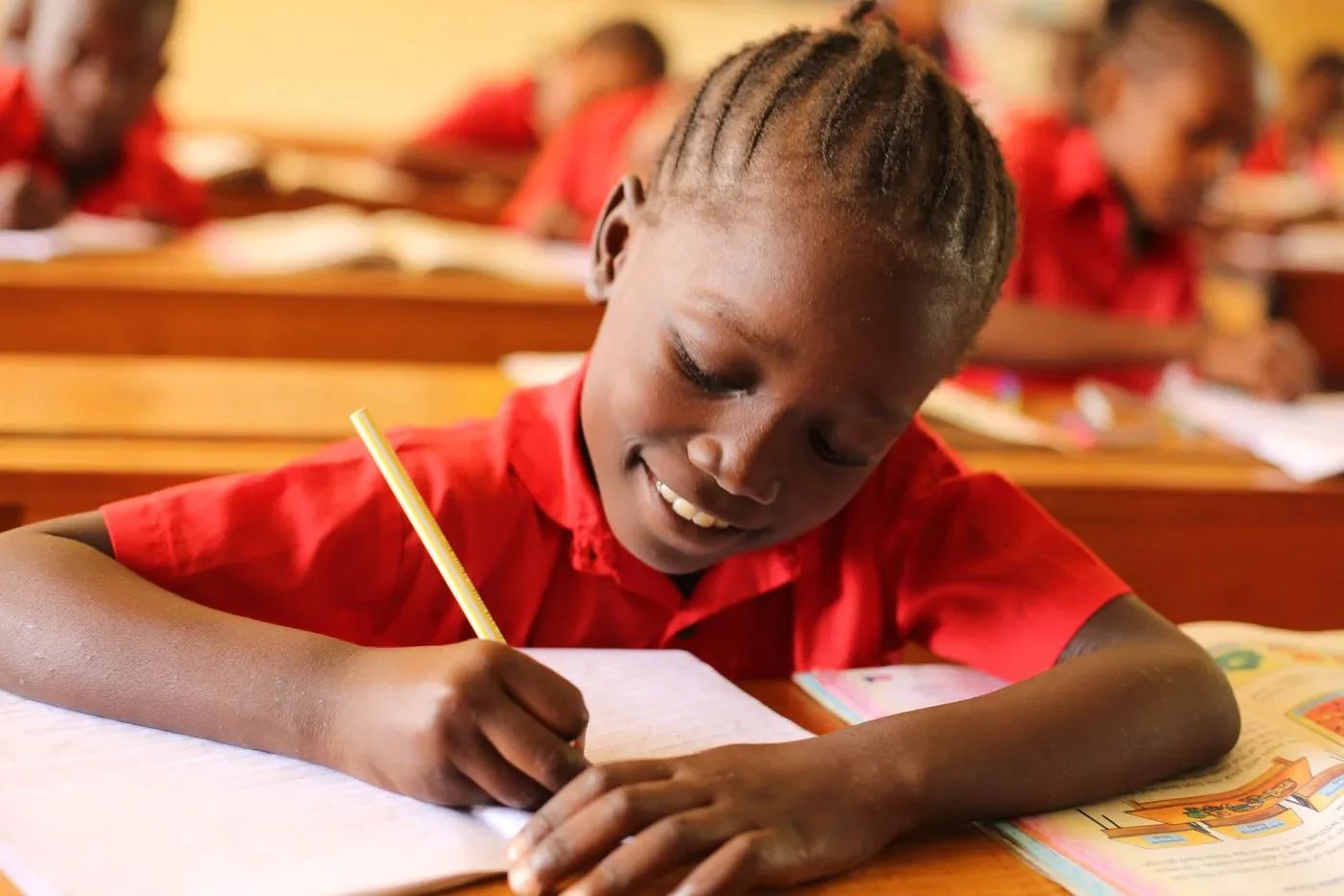 Read more about the article Education A Crippling Heritage In Africa