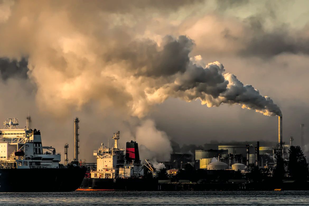 Read more about the article The Environmental and Health Impact of Air Pollution